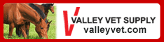 Valley Vet